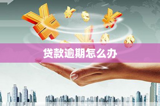 英山贷款逾期怎么办