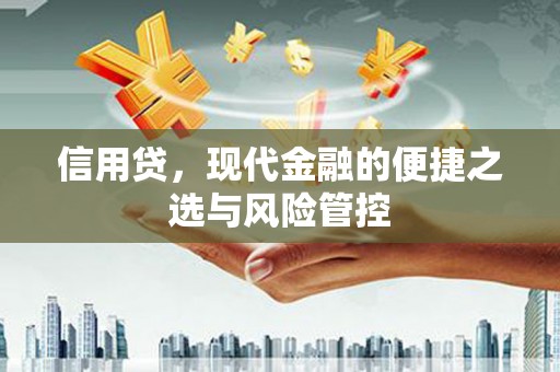 英山信用贷，现代金融的便捷之选与风险管控