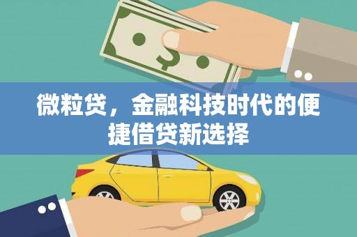 英山微粒贷，金融科技时代的便捷借贷新选择