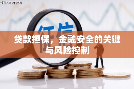 英山贷款担保，金融安全的关键与风险控制
