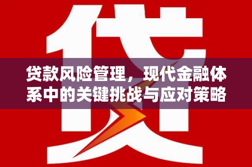 英山贷款风险管理，现代金融体系中的关键挑战与应对策略