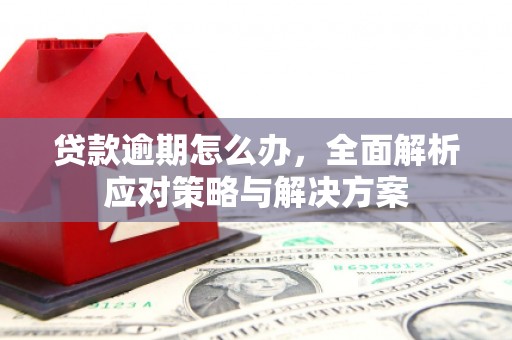 英山贷款逾期怎么办，全面解析应对策略与解决方案